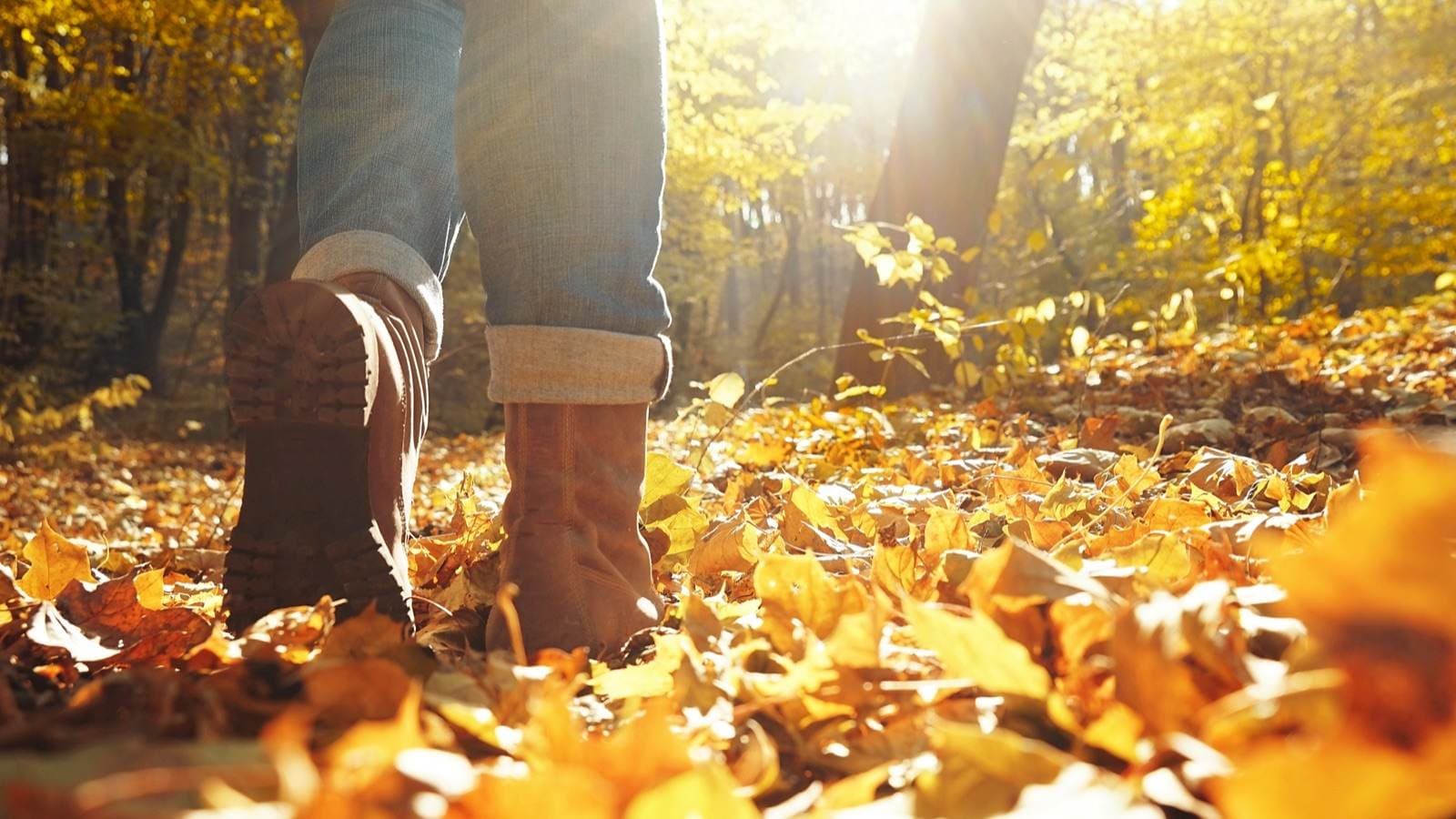 A person walks through fallen leaves in an autumn park.